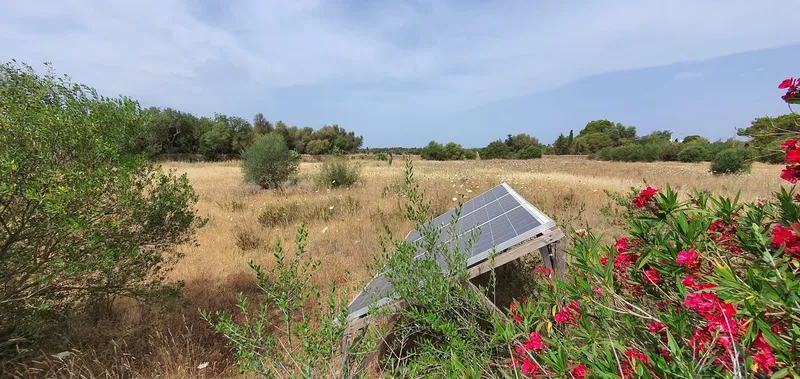 Beautiful Mediterranean finca in Llucmajor — photo 9