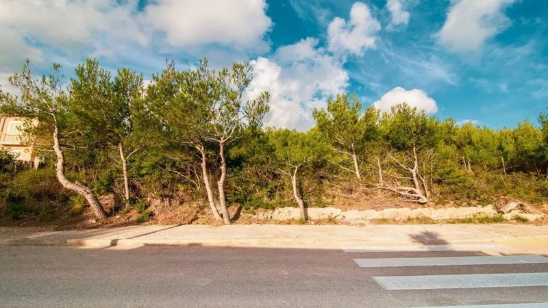 Land in Capdepera, Province of Balearic Islands — photo 8
