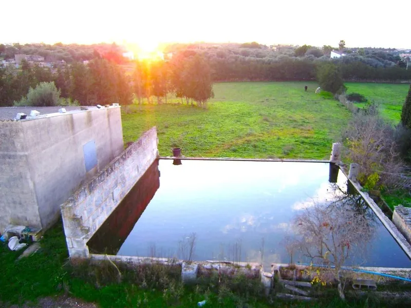 Rural or Farmhouse in Muro, Province of Balearic Islands — photo 2