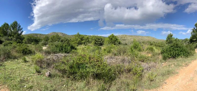 Exceptional buildable rustic plot with sea views — photo 12