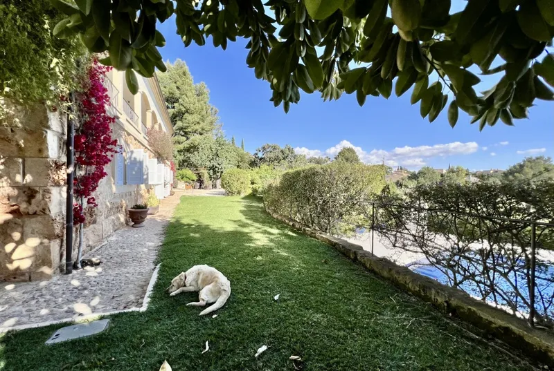 Charming finca with stunning views in Bunyola — photo 3