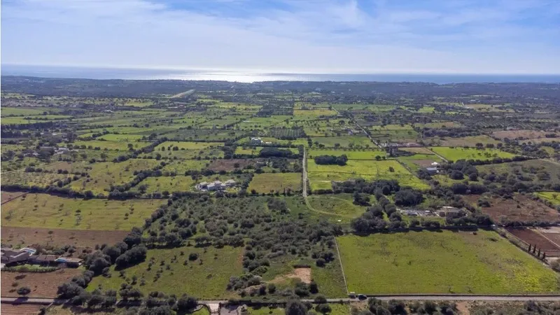 Plot+License in a spectacular location with lots of privacy and seaviews in Portocristo, on the east of Majorca. — photo 2