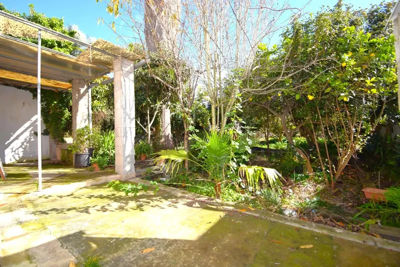 Charming 228 m2 house with large garden and views of the Serra de Tramuntana in Campanet — photo 2