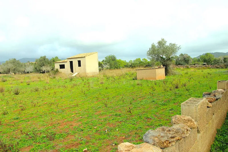 F1 - Finca for sale with two — photo 2