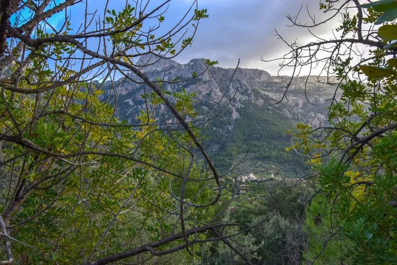 Olive grove with two small houses and car access in Fornalutx — photo 1