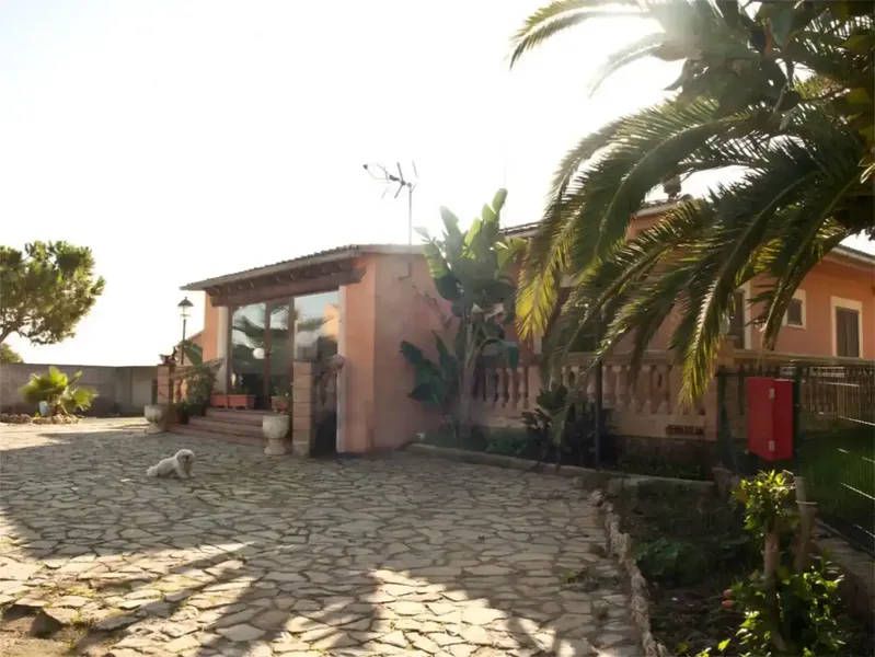Finca de 17300m2 de terreno con diversas edificaciones, casa principal de unos 180m2 mas terrazas y 800m2 en varias naves. — photo 10