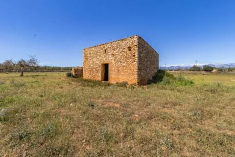 Plot — photo 2