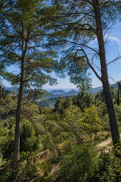 Finca with port views and holiday license in Andratx — photo 11