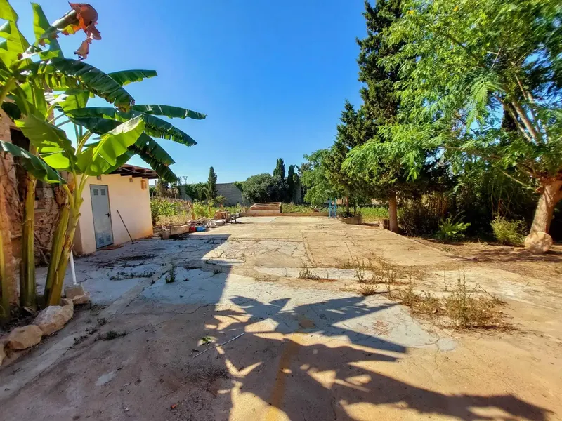 Rustic finca with an old Mallorcan property a few minutes from the village of Cas Concos. — photo 10