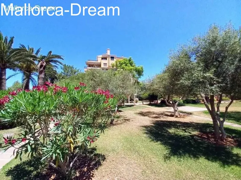 Cala Millor: Beautiful penthouse in well maintained complex — photo 5