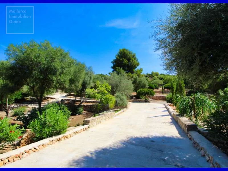 Finca close to Son Servera — photo 6