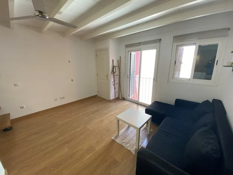 Unique Top Floor Duplex Apartment with Terrace in Santa Catalina — photo 6