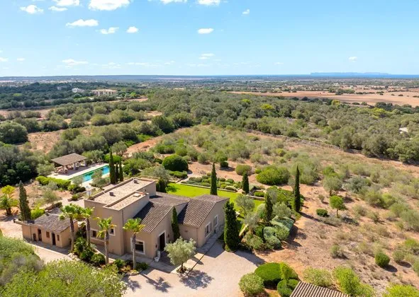 Estate in Campos — photo 1