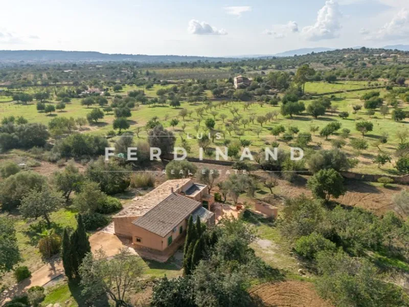 Luxury home in Santa Maria del Camí, Province of Balearic Islands — photo 2