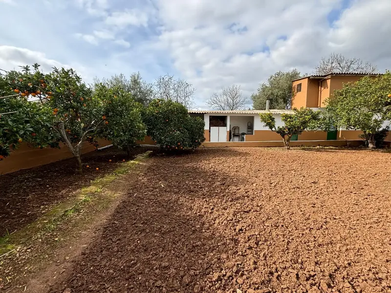 Investment opportunity in Cas Metge – Marratxí — photo 3
