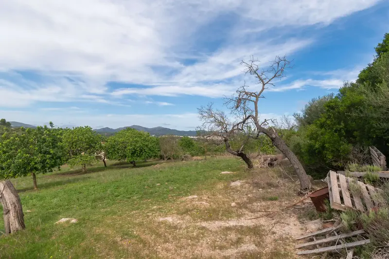 Discover the potential of this authentic Mallorcan finca in an exclusive location near Artà! — photo 11
