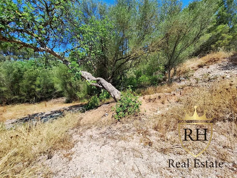 Farmhouse for sale in Son Servera of 141 m2 — photo 5