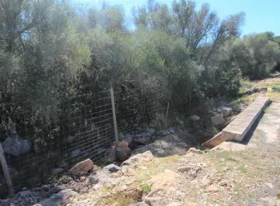 Rustic land - Llucmajor (Cala Pi-Vallgornera), plot surface 100,158 m², distance to the sea 3 km — photo 8