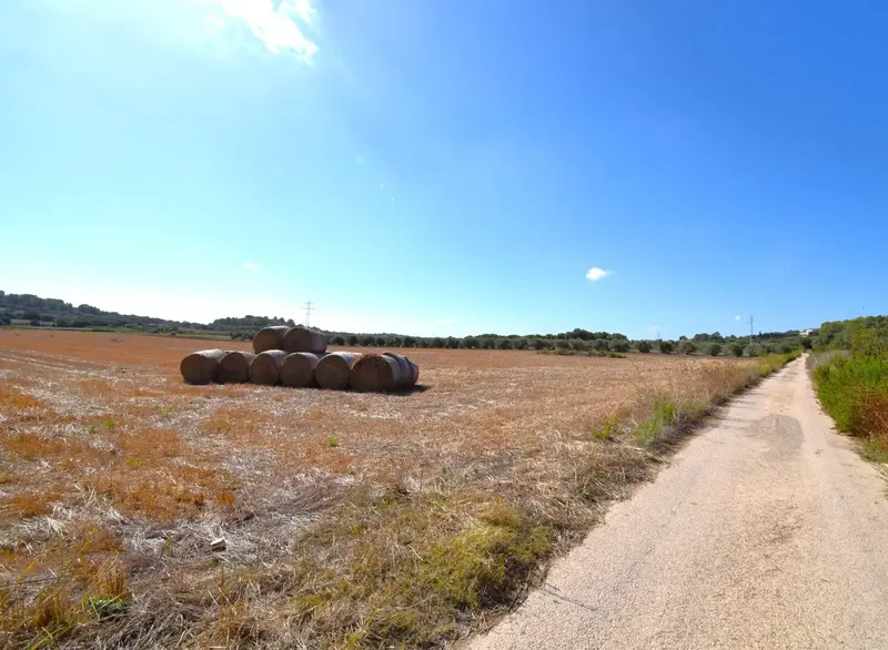 Set of plots totaling 19,622 m2, with the possibility of building a house in a privileged natural environment in Muro — photo 9