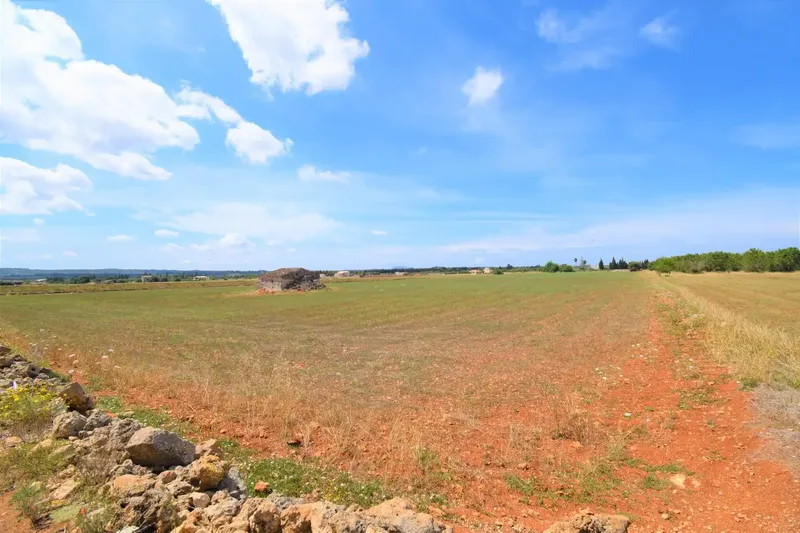 Rustic finca with wonderful views of the Serra de Tramuntana in the municipality of Llubí — photo 6