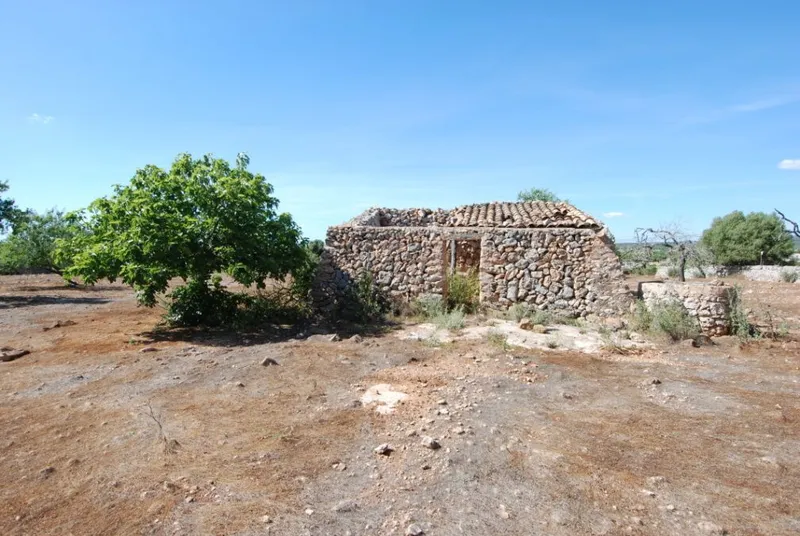 Interesting rustic plot between Santanyi and Es Llombards — photo 5