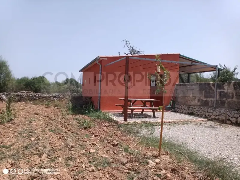 Charming winery with its own production located on a 13,599 m² rustic estate in Costitx, in the very heart of Mallorca. Surrounded by a p — photo 10