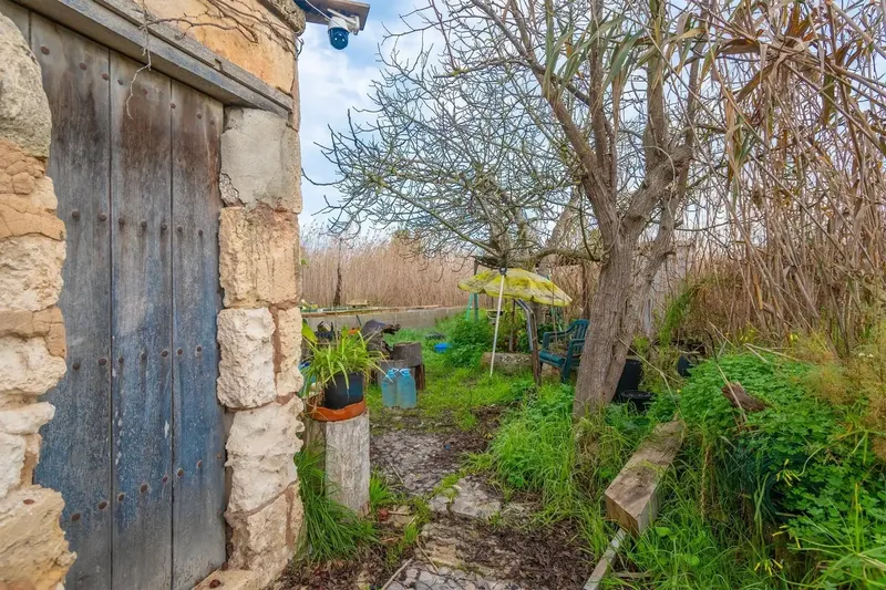 Rustic Estate in the S'Albufera Natural Park · Sa Pobla — photo 10