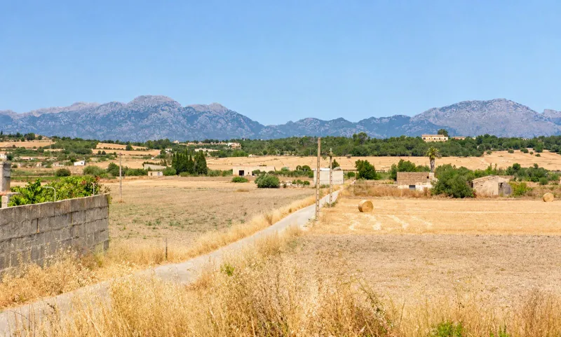 Buildable rustic land of 17,700 m2 in Santa Margalida — photo 1