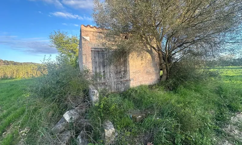 Rustic finca in Sant Joan — photo 4