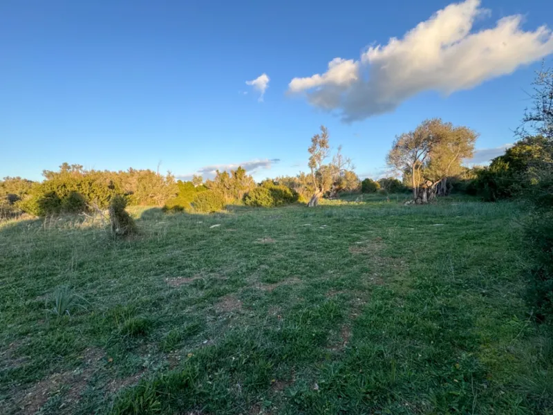 Exceptional offer: Beautiful rustic estate with views ... — photo 1