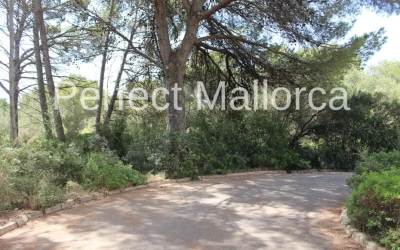 Building plot in a quiet cul-de-sac — photo 1