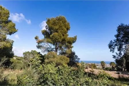 Urban Plot of Land - Cabrils (Sant Cristofol 1) — photo 4