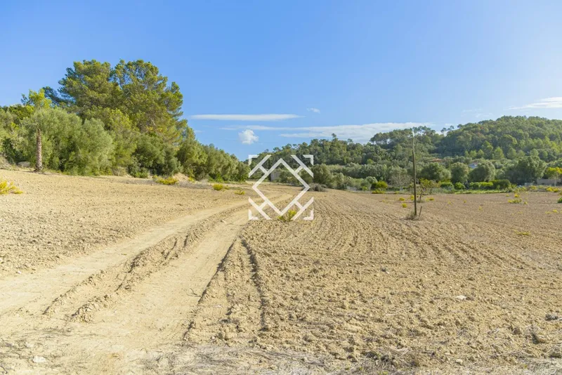 Exclusive rustic plot for sale in Costitx with project for a house and swimming pool, in the heart of Mallorca. — photo 12