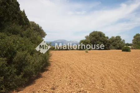 Rustic property - Muro (Centro), Built Surface 1 m², Plot Surface 8000 m² — photo 9