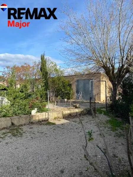 Mediterranean Sanctuary near Sineu – 3.5 Hectares of Pure Nature — photo 5