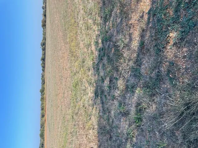 Plot with project in Son Valls — photo 3
