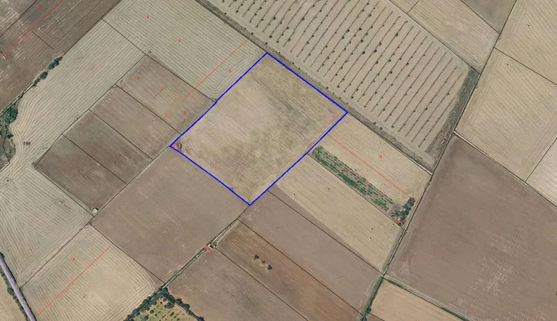 Plot with project in Son Valls — photo 1
