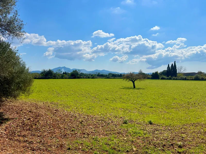 Rustic plot of 14,884 m² between Porreres and Felanitx with spectacular views of Sant Salvador — photo 2
