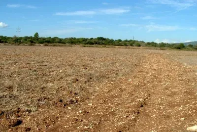 Plot for sale in Manacor — photo 1
