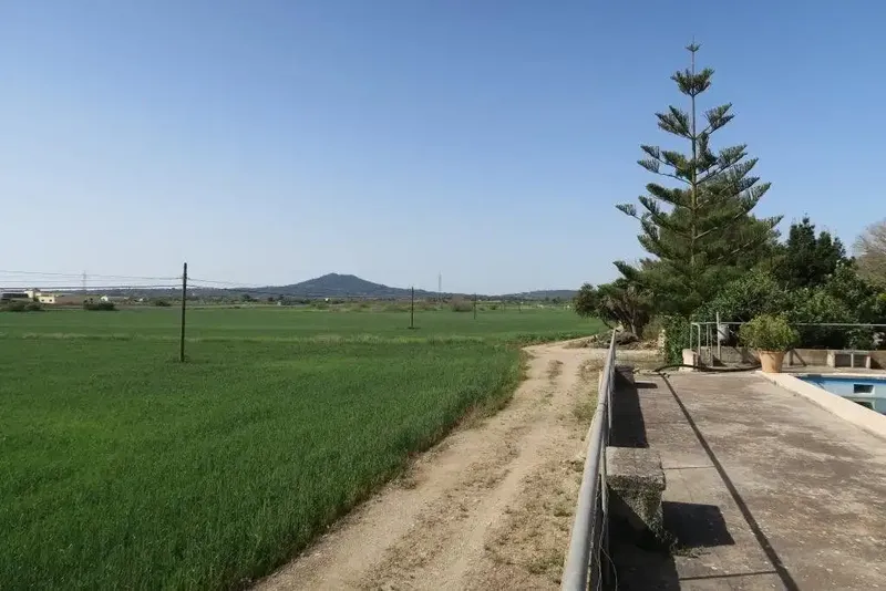 For sale large rustic estate in the municipality of Ariany, 70,000 m² plot with a building of about 900 m² — photo 6
