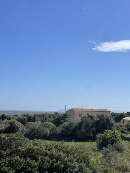 Charming Country House Project with Views of Cabrera Island in Mallorca — photo 6