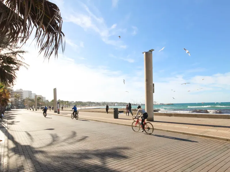 Land in Palma De Mallorca, Mallorca — photo 1
