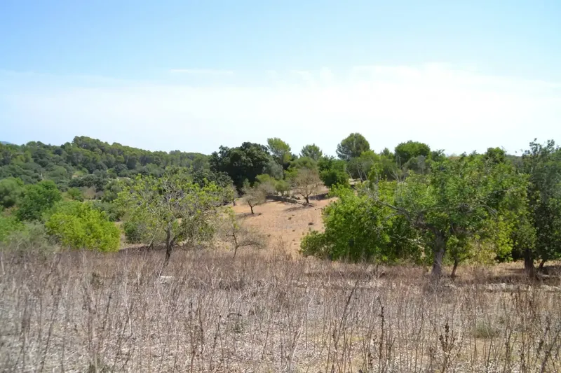 A step from the village we have this rustic estate of more than 14,000 m2, with an old construction of about 50 m2, there is the possibility of co — photo 7