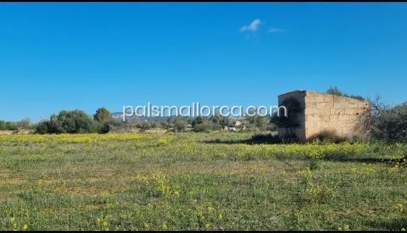 Country House in Llucmajor — photo 7