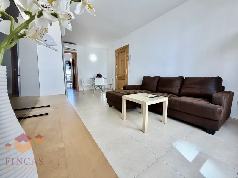 1-bedroom apartment with terrace for rent in Palma (S’Escorxador – Plaza Abu Yahya) – NOT AVAILABLE — photo 7