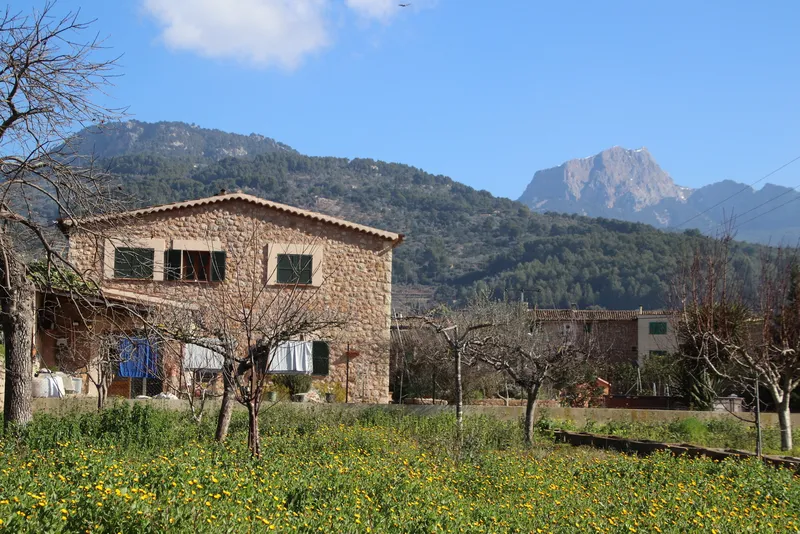Semi-detached stone house with garden in Sóller — photo 2