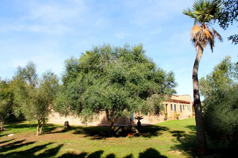 Exclusive Natural Stone Finca with ETV — photo 9