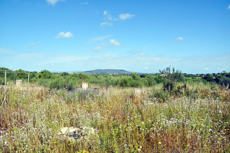 Country plot with project — photo 1