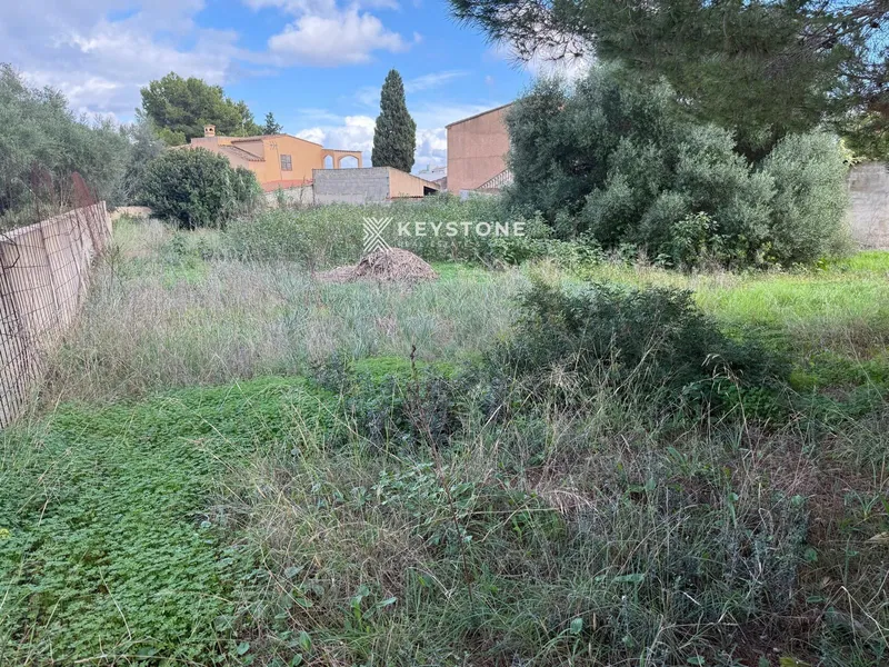 Plot — photo 7