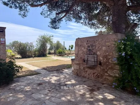 Rustic finca with an idyllic garden and pool between Son Carrio and Porto Cristo — photo 2